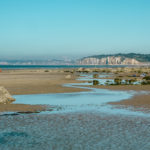 marée basse sur la plage de Pourville en Normandie