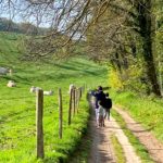 Balade dans la campagne de Varengeville-sur-Mer
