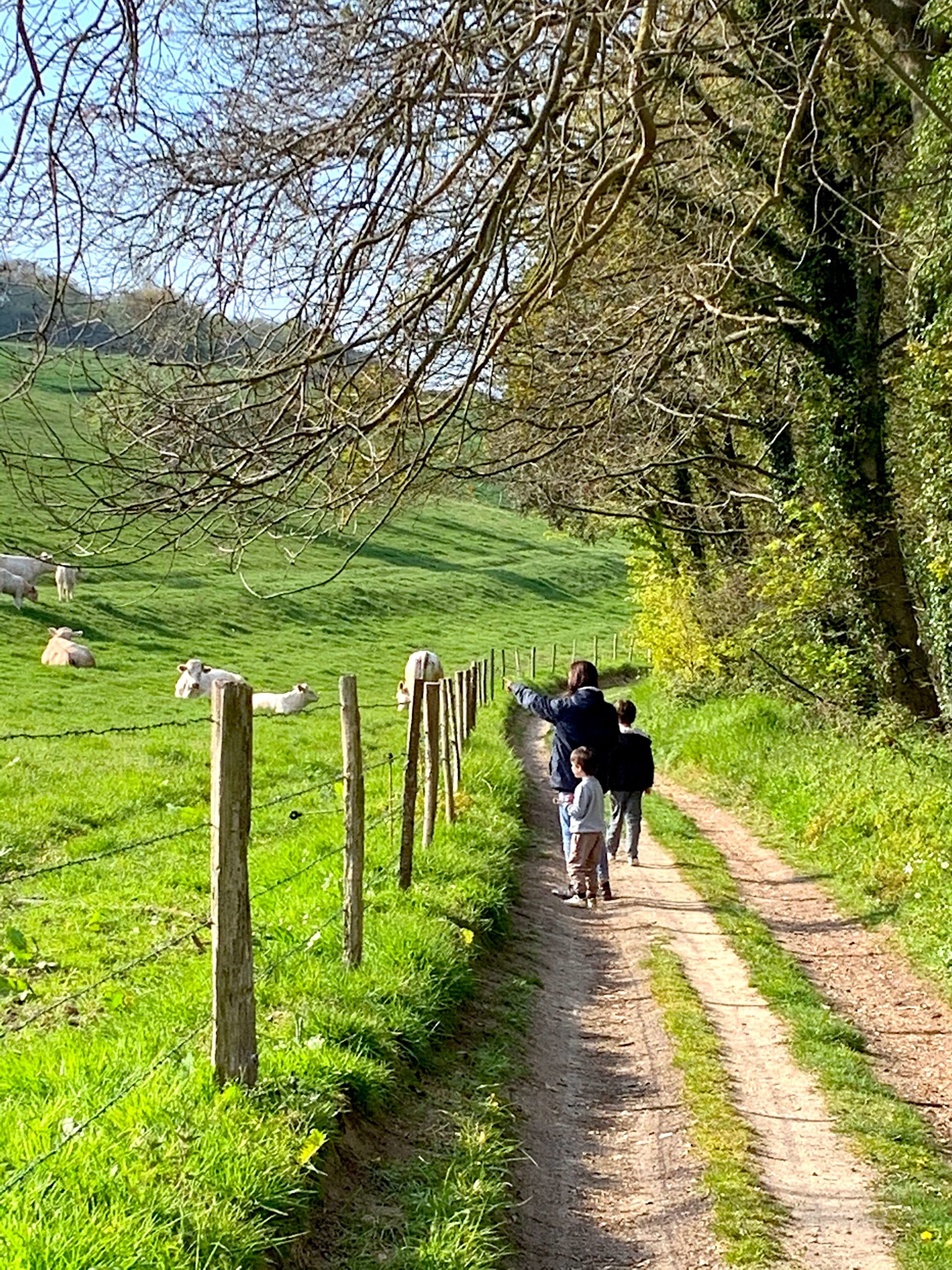 Lire la suite à propos de l’article GR21 Pourville Varengeville : randonnée entre falaises et mer