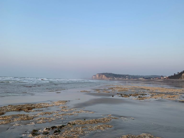 Lire la suite à propos de l’article Plage de Pourville à marée basse : ce que personne ne vous dit