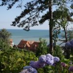 Vue mer depuis un gite teletravail Normandie à Pourville-sur-Mer avec hortensias au premier plan