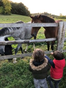 Enfants observant des chevaux dans la campagne de Varengeville-sur-Mer en Normandie