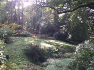 Lire la suite à propos de l’article Varengeville-sur-Mer : jardins d&rsquo;exception et village d&rsquo;artistes en Normandie