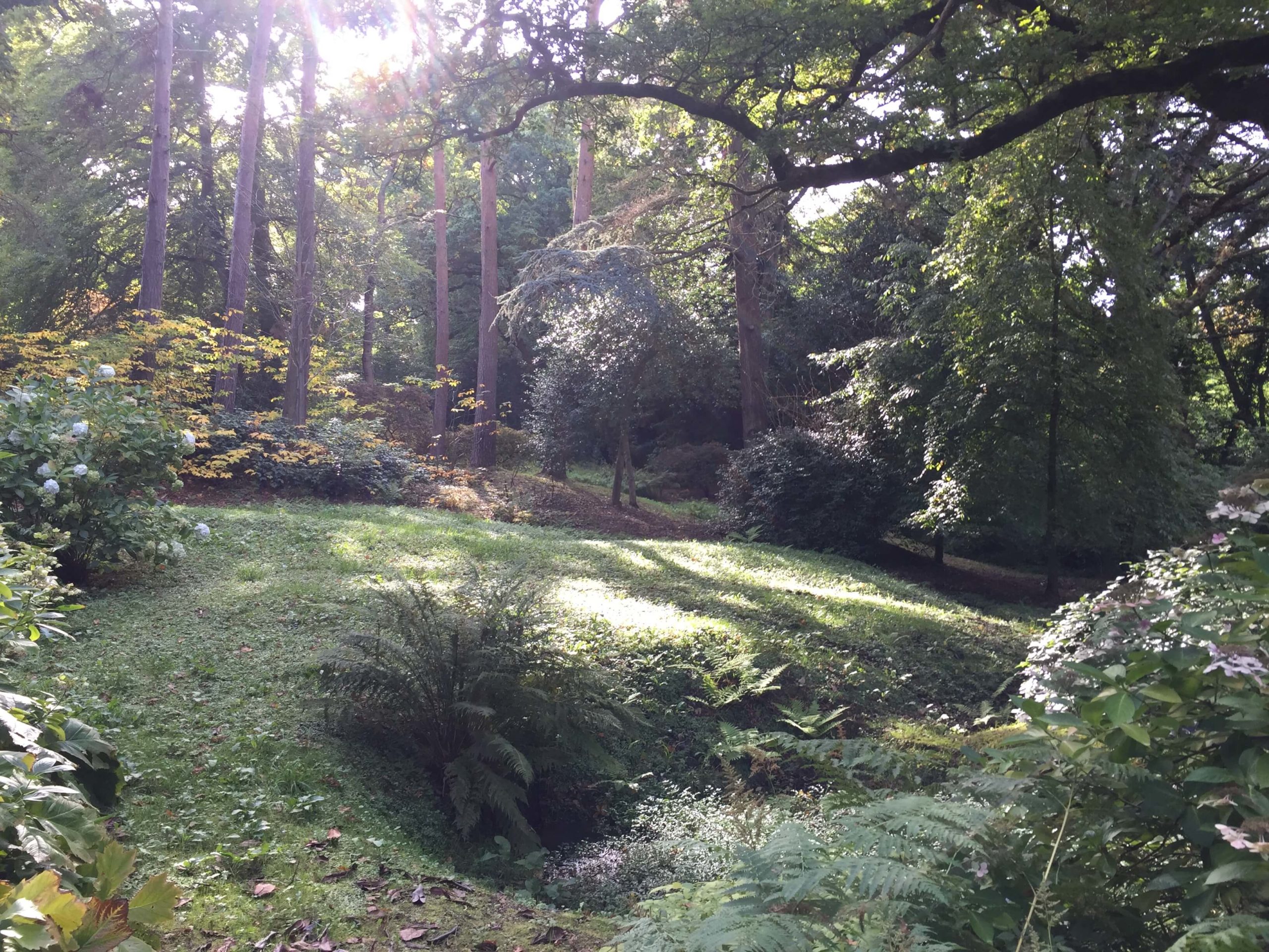 Lire la suite à propos de l’article Varengeville-sur-Mer : jardins d&rsquo;exception et village d&rsquo;artistes en Normandie