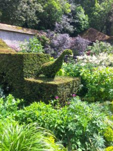 Rhododendrons en fleur au Bois des Moutiers Varengeville-sur-Mer au printemps
