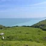 vue depuis le GR 21 Moutons dans un pâturage sur les falaises face à la mer près de Pourville-sur-Mer en Normandie