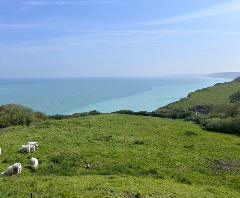 Lire la suite à propos de l’article Randonnée sur les falaises de Pourville : nos sentiers préférés
