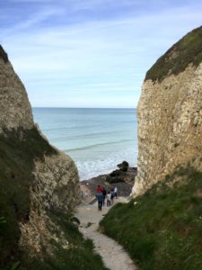 Valleuse de Vasterival à Varengeville-sur-Mer entre les falaises de craie