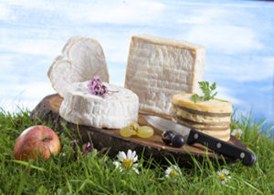 Lire la suite à propos de l’article Fromages normands : Neufchâtel, Camembert et Livarot