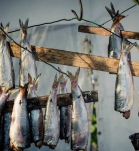 Lire la suite à propos de l’article Foire aux Harengs de Dieppe : notre guide pour profiter de la fête