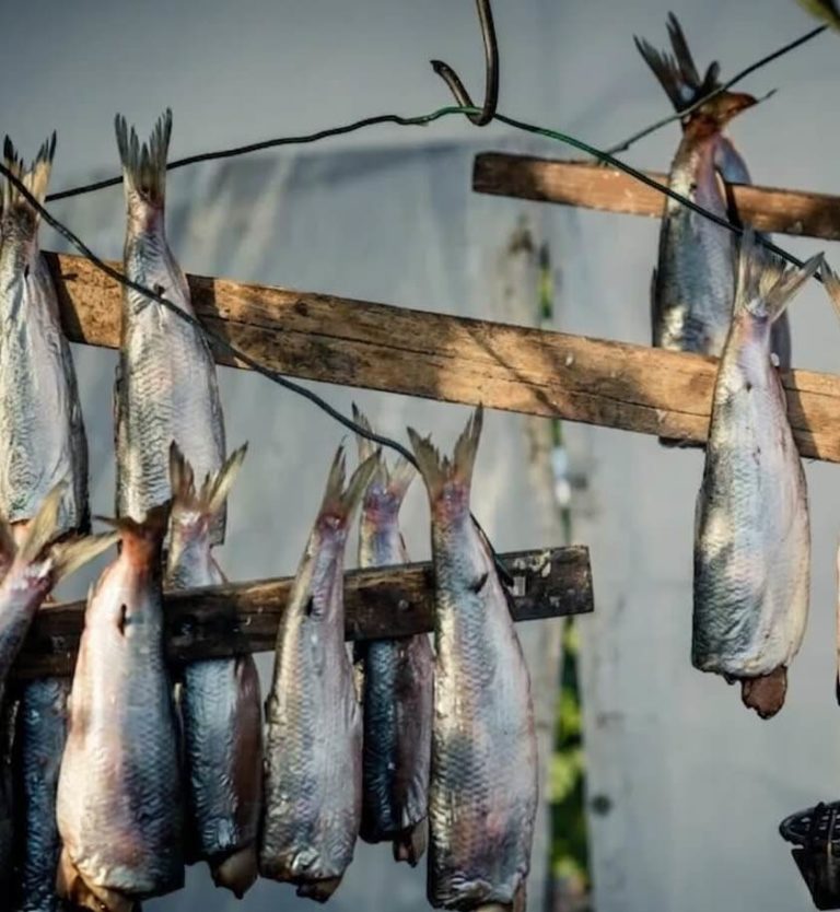 Lire la suite à propos de l’article Foire aux Harengs de Dieppe : notre guide pour profiter de la fête
