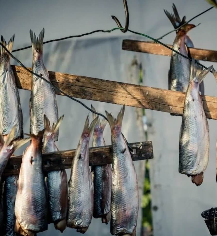 You are currently viewing Foire aux Harengs de Dieppe : notre guide pour profiter de la fête