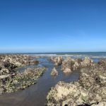 Platier rocheux découvert à marée basse à Pourville-sur-Mer pour la pêche à pied