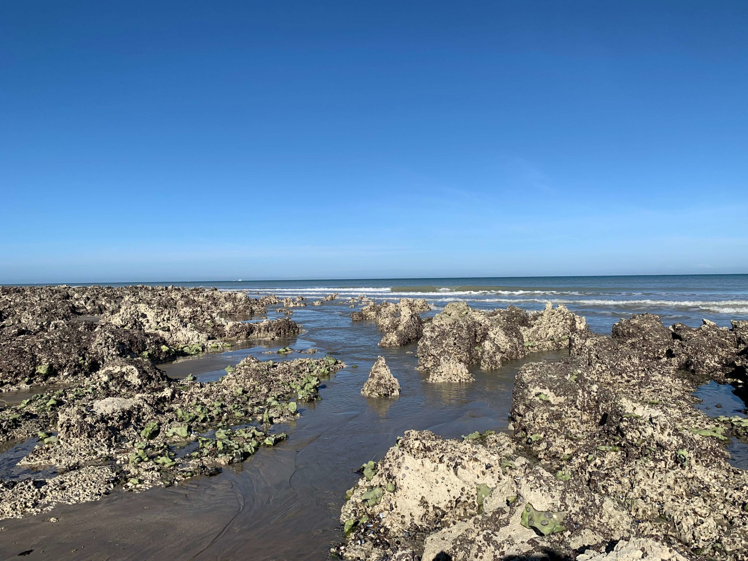 Lire la suite à propos de l’article Horaires marées Pourville : comprendre les marées pour mieux profiter de la côte