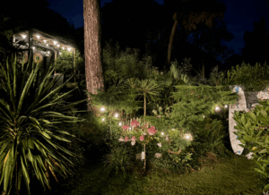 Lire la suite à propos de l’article Jardin illuminé bord de mer : notre Carré Vue Mer la nuit