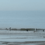 Surfeurs à la plage de Pourville-sur-Mer à marée basse en Normandie