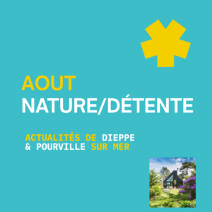 Lire la suite à propos de l’article Que faire à Pourville en août : nos idées de locaux