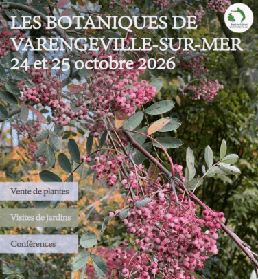 You are currently viewing Botaniques de Varengeville 2026 : notre guide du week-end