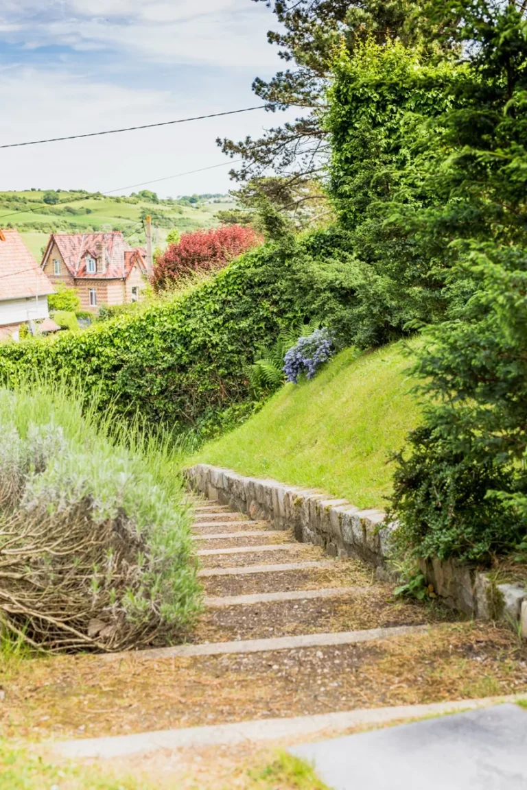 Escalier de pierre dans le jardin bordé de lavande et de céanothes avec vue sur la campagne
