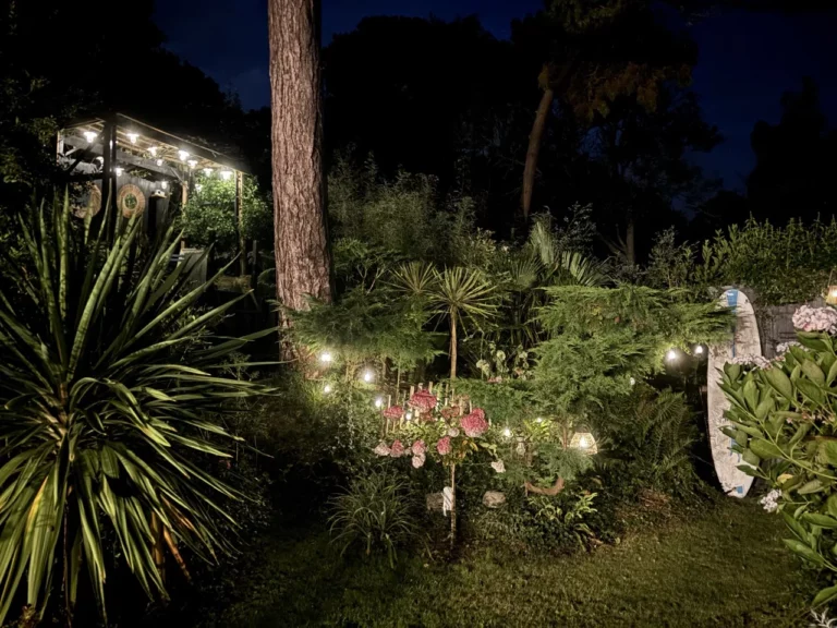 Lire la suite à propos de l’article Jardin illuminé bord de mer : notre Carré Vue Mer la nuit