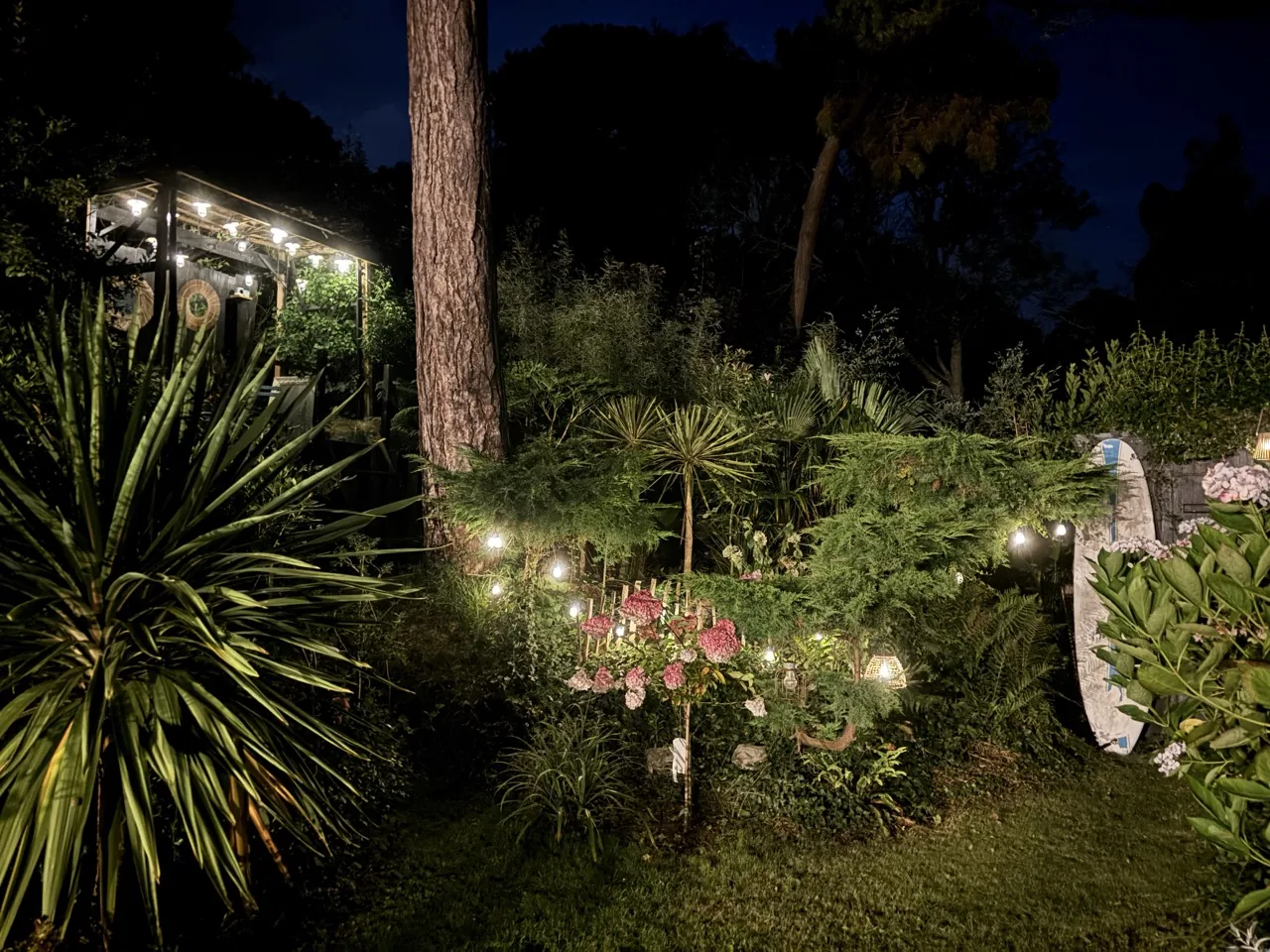 Lire la suite à propos de l’article Jardin illuminé bord de mer : notre Carré Vue Mer la nuit