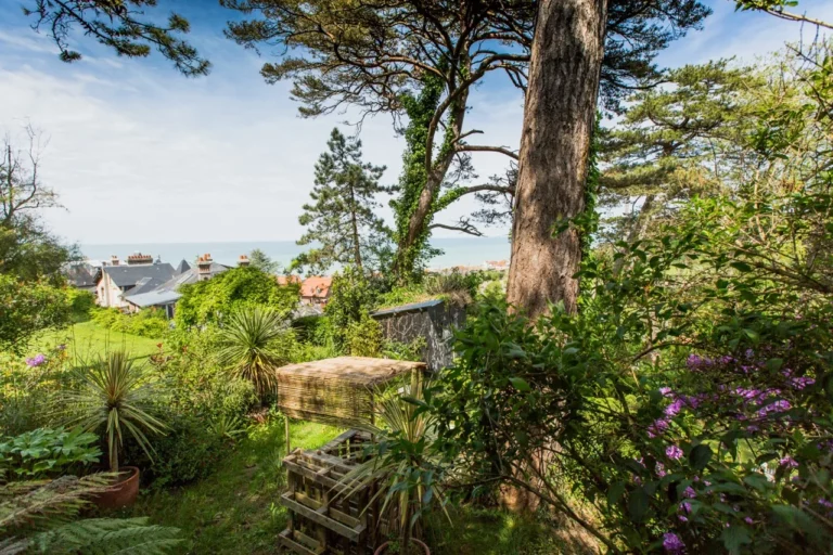 Jardin arboré avec grands pins, plantes exotiques et vue sur la mer à Pourville