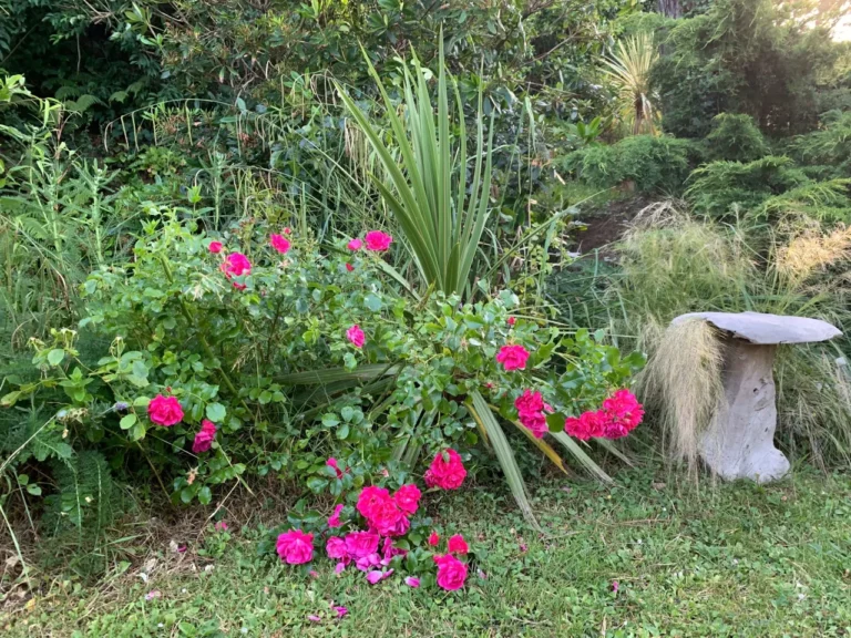 Blumenbeet im Garten des Carré Vue Mer: rosa Blüten, Yucca, Gräser und Steinschale, in Pourville-sur-Mer