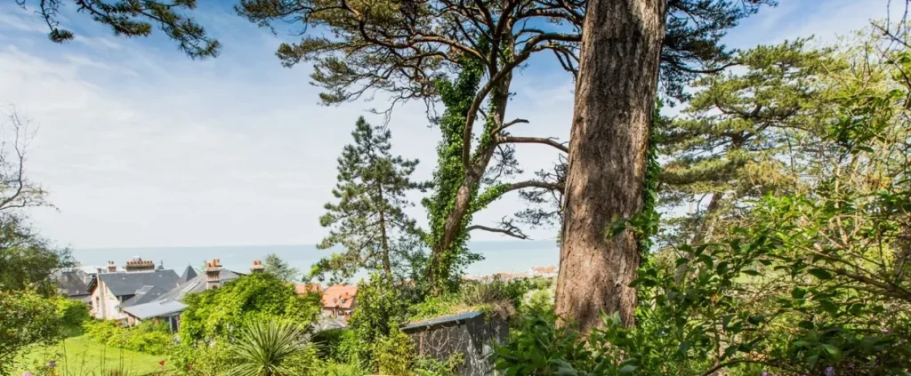 Panorama über das Meer durch die hohen Kiefern des Gartens, über den Dächern von Pourville