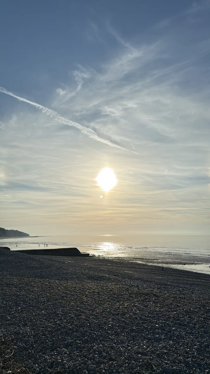 Lire la suite à propos de l’article Que faire à Pourville et Dieppe en novembre : harengs, marées et balades