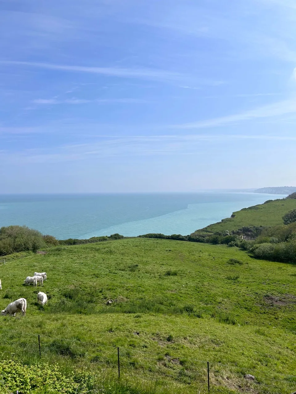Lire la suite à propos de l’article Découvrir la Côte d&rsquo;Albâtre depuis Pourville-sur-Mer