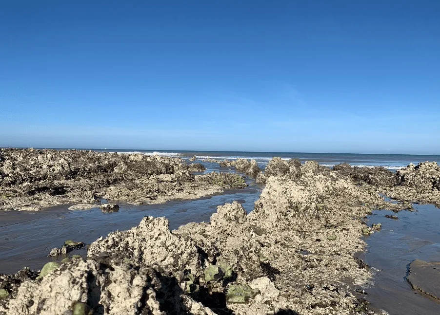 Lire la suite à propos de l’article Grandes marées près de Dieppe : dates, coefficients et meilleurs spots